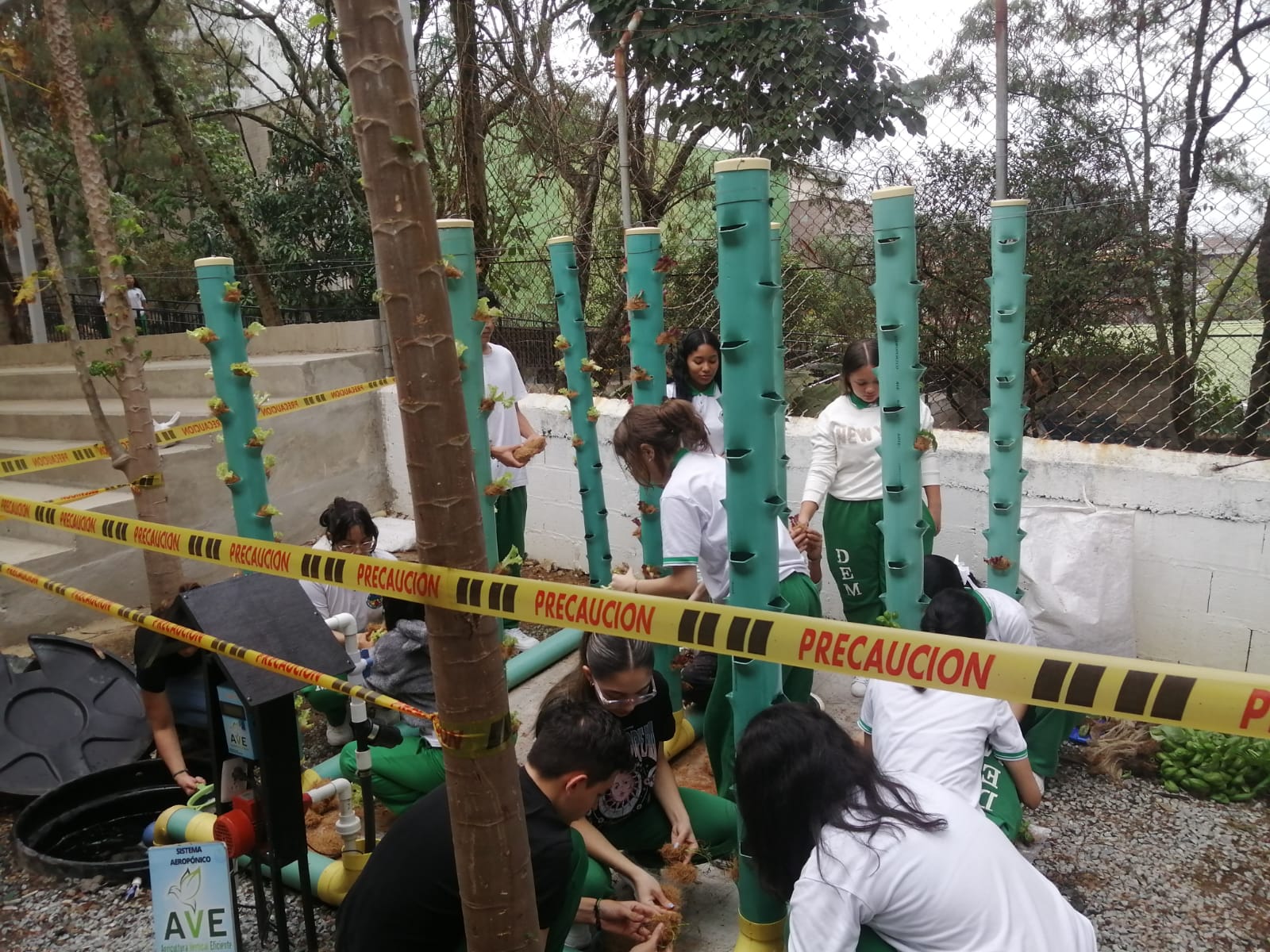 IMG-20240404-WA0140 (1)